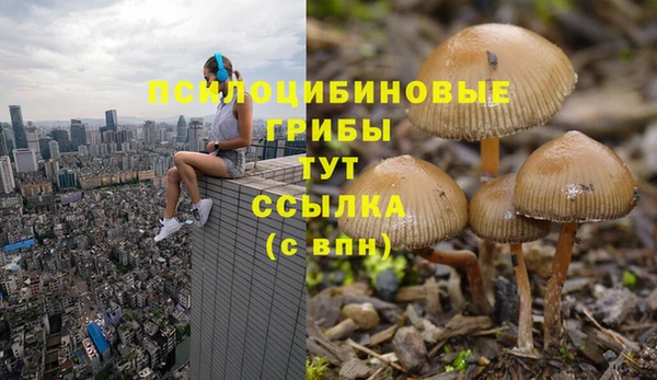 трава Бородино
