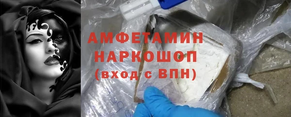 трава Бородино