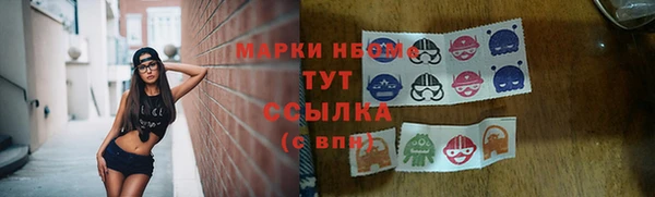трава Бородино