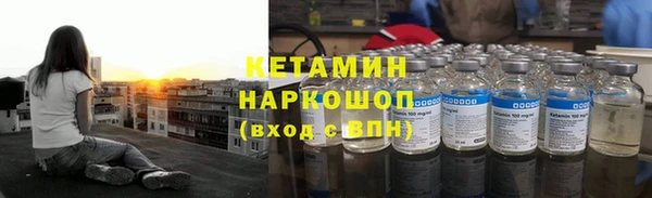 трава Бородино