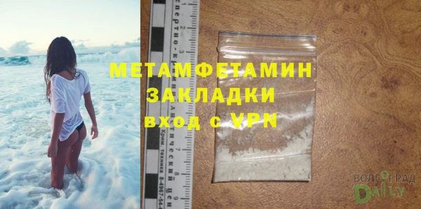 трава Бородино