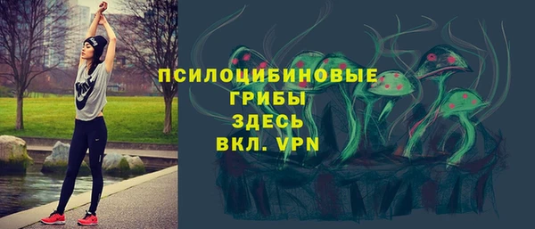 гашик Бугульма