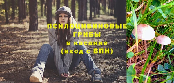 трава Бородино