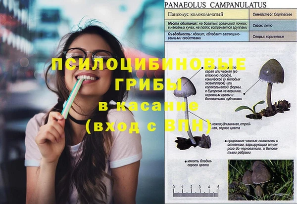гашик Бугульма